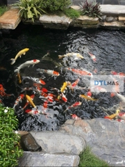 Buildmix Bondflex B52 Black – Thùng 5Kg – Chống thấm 2 thành phần gốc Xi măng + Polymer màu đen
