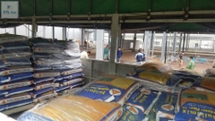 Buildmix Hardener Floor-Top Green 25kg - Bột rắc tăng cứng sàn màu Xanh