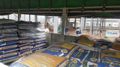 Buildmix Hardener Floor-Top Green 25kg - Bột rắc tăng cứng sàn màu Xanh