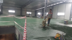 Buildmix Hardener Floor-Top Green 25kg - Bột rắc tăng cứng sàn màu Xanh
