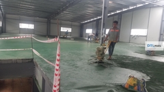 Buildmix Hardener Floor-Top Green 25kg - Bột rắc tăng cứng sàn màu Xanh