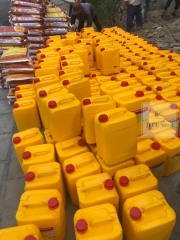 Buildmix Polylastic 25Kg - Chống thấm 2 thành phần gốc Xi măng - Polymer
