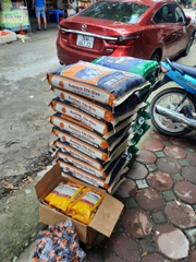 [Mã Dự Án] Buildmix Tile Glue CTA3 Grey 25kg - Keo dán gạch đá ốp lát - Màu Xám