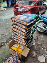 Buildmix Tile Glue CTA1 Grey 25kg - Keo dán gạch đá ốp lát. Ốp gạch đến 600x1200mm, lát gạch đến 1200x1200mm