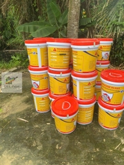 Buildmix Wallcoat UV-Flex 18kg - Sơn chống thấm nội ngoại thất gốc Acrylic đàn hồi cao