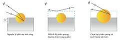 Cát phản quang. Hạt bi thủy tinh phản quang