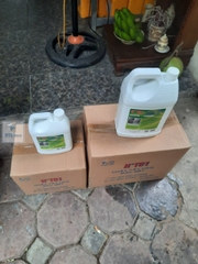 Chất tẩy nấm mốc HT 01 trên mọi bề mặt - Can 1.8Lít