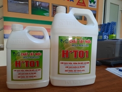 Chất tẩy nấm mốc HT 01 trên mọi bề mặt - Can 1.8Lít
