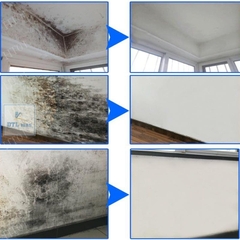 Chất tẩy nấm mốc HT 01 trên mọi bề mặt - Can 1.8Lít