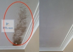 Chất tẩy nấm mốc HT 01 trên mọi bề mặt - Can 1.8Lít