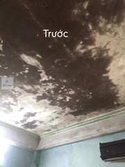 Chất tẩy nấm mốc HT 01 trên mọi bề mặt - Can 1.8Lít