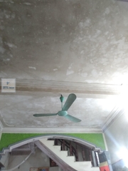 Chất tẩy nấm mốc HT 01 trên mọi bề mặt - Can 1.8Lít