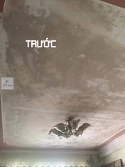 Chất tẩy nấm mốc HT 01 trên mọi bề mặt - Can 1.8Lít