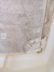 Chất tẩy nấm mốc HT 01 trên mọi bề mặt - Can 1.8Lít