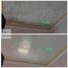 Chất tẩy nấm mốc HT 01 trên mọi bề mặt - Can 1.8Lít