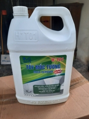 Chất tẩy nấm mốc HT 01 trên mọi bề mặt - Can 5Lít
