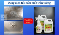 Chất tẩy nấm mốc HT 01 trên mọi bề mặt - Can 5Lít