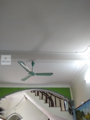 Chất tẩy nấm mốc HT 01 trên mọi bề mặt - Can 5Lít