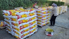 VICIN VC01 - Bao 20Kg - Keo dán gạch ốp lát