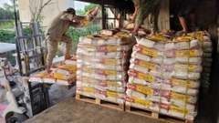 VICIN VC01 - Bao 20Kg - Keo dán gạch ốp lát