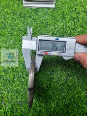 Lưỡi cắt bê tông, lưỡi cắt rãnh chữ V - D105x22.23x8mm