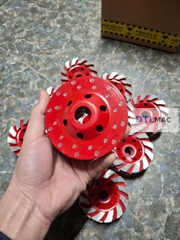 Đĩa Mài Bê Tông Kim Cương D100 | Mài Thô, Mài Phá – Màu Đỏ