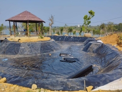 Màng HDPE 1mm 4x50m. Bạt lót ao, hồ, bãi rác, bể xử lý nước thải, hầm biogas và các công trình xây dựng