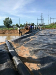 Màng HDPE 1mm 4x50m. Bạt lót ao, hồ, bãi rác, bể xử lý nước thải, hầm biogas và các công trình xây dựng