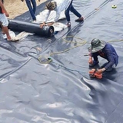Màng HDPE 1mm 4x50m. Bạt lót ao, hồ, bãi rác, bể xử lý nước thải, hầm biogas và các công trình xây dựng