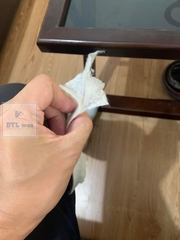 Màng chống thấm 3 lớp PPE dày 0.6~0.8mm, cuộn1.2x50m ZHANGSHI. Màng chống thấm cao cấp, có cấu tạo 3 lớp. Màng chống thấm Polypropylene Elastomer