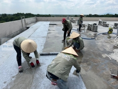 Màng chống thấm 3 lớp PPE dày 0.6~0.8mm, cuộn1.2x50m ZHANGSHI. Màng chống thấm cao cấp, có cấu tạo 3 lớp. Màng chống thấm Polypropylene Elastomer