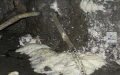 Masxseal UF3000 9kg - PU Foam nở chống thấm