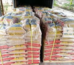 Neomax® K1 TileBond -Bao 25kg - Màu Trắng. Keo dán gạch gốc xi măng