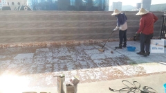 Neomax Primer P11 - Hộp 1.5Kg - Lớp Lót Chống Thấm Gốc Polyurethane