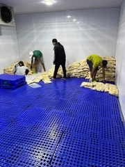 Pallet nhựa 1000x600x100mm - Tải trọng 1000Kg - Xanh dương - BPG100.060.OP04-1