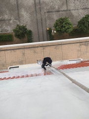 Polythane P 20L - Chống thấm Polyurethane 1 thành phần