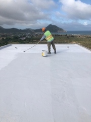 Polythane P 20L - Chống thấm Polyurethane 1 thành phần