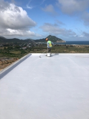 Polythane P 20L - Chống thấm Polyurethane 1 thành phần