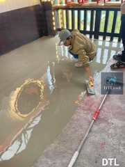 Rulo Phá Bọt Khí Chuyên Dụng DTL – Rộng 50cm, Gai Cao 1.2cm