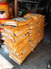 Sika Skimcoat VN 25kg - Lớp phủ nhẵn mịn cho trần và tường