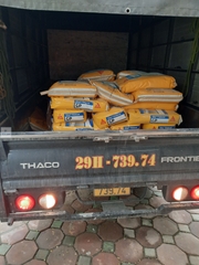 Sika Tilebond GP (Bao 25Kg) - Keo (vữa) dán gạch đóng gói sẵn, gốc xi măng dùng cho các loại gạch cỡ nhỏ và vừa