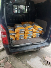 Sika Tilebond GP (Bao 25Kg) - Keo (vữa) dán gạch đóng gói sẵn, gốc xi măng dùng cho các loại gạch cỡ nhỏ và vừa