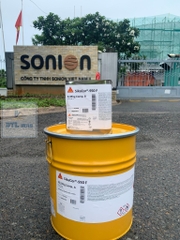 SkaCor 950 F 35Kg - Lớp phủ bảo vệ cho bề mặt bê tông và thép