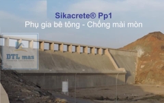 Sikacrete PP1 20Kg - Phụ Gia Bê Tông Chống Thấm Trộn Bê Tông. Bền Sulfat