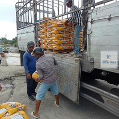 SikaGrout 214-11 25kg - Vữa rót không co ngót Mác 600#