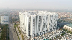 Sikament NN 5L - Phụ Gia Hoá Dẻo, Đóng Rắn Nhanh, Tăng Cường Độ Sớm Bê Tông