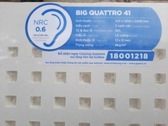 Tấm thạch cao tiêu âm Big Quattro 41 2400x1200x12.5mm