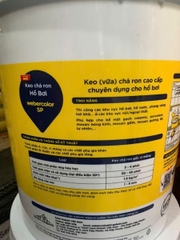WeberColor SP 18.2kg - Keo chà ron gạch chuyên dụng cho bể bơi