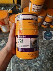 Xy lanh 40ml bơm keo chống thấm Sikadur 752, MaxSeal 1400