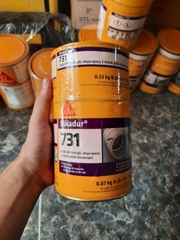 Xy lanh 50ml bơm keo chống thấm Sikadur 752, MaxSeal 1400